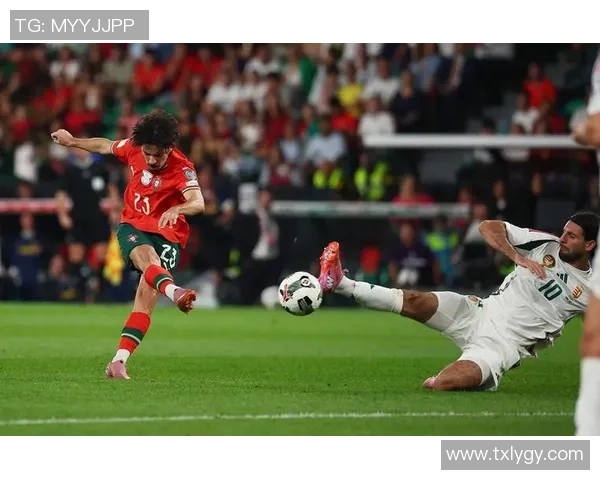 葡萄牙足球明星实力分析与国际足坛地位评估