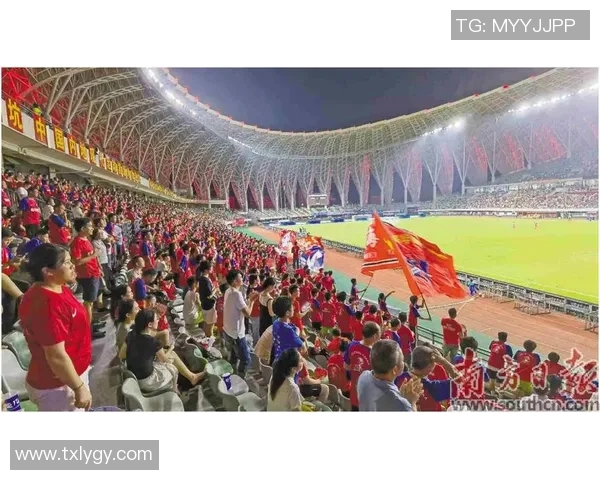 足球星鞋垫助力运动员释放潜能提升比赛表现打造舒适与健康体验